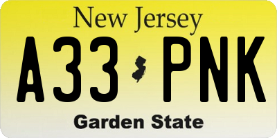 NJ license plate A33PNK