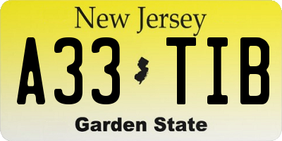 NJ license plate A33TIB