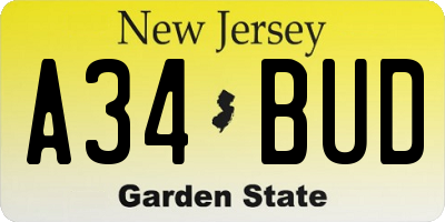 NJ license plate A34BUD