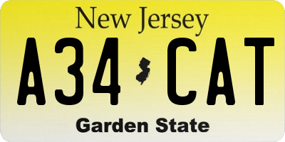 NJ license plate A34CAT