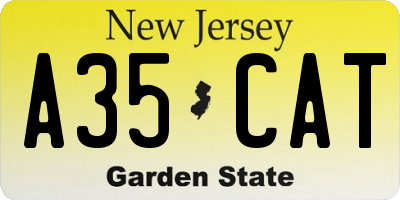 NJ license plate A35CAT