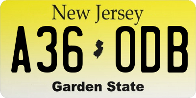NJ license plate A36ODB