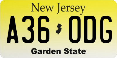 NJ license plate A36ODG