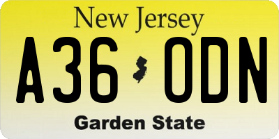 NJ license plate A36ODN