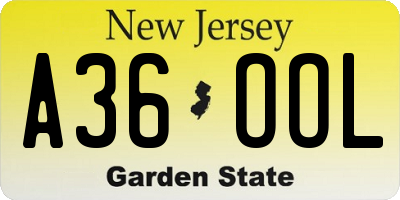 NJ license plate A36OOL