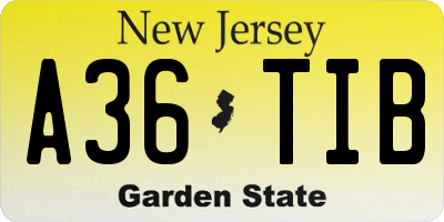 NJ license plate A36TIB