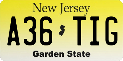 NJ license plate A36TIG