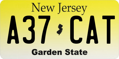 NJ license plate A37CAT