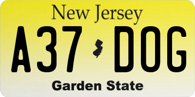 NJ license plate A37DOG