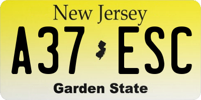 NJ license plate A37ESC