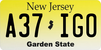 NJ license plate A37IGO