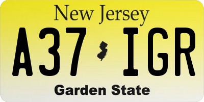 NJ license plate A37IGR