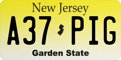 NJ license plate A37PIG