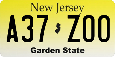 NJ license plate A37ZOO
