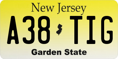 NJ license plate A38TIG