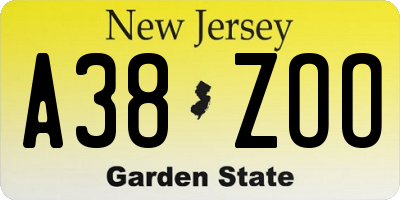 NJ license plate A38ZOO