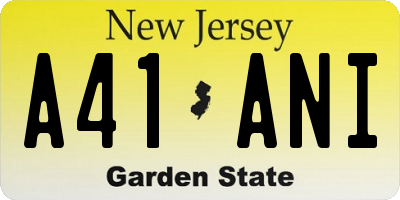 NJ license plate A41ANI