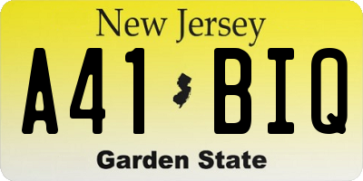 NJ license plate A41BIQ