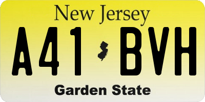 NJ license plate A41BVH