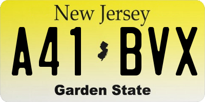 NJ license plate A41BVX