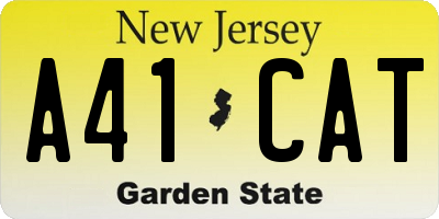 NJ license plate A41CAT