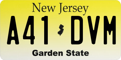 NJ license plate A41DVM