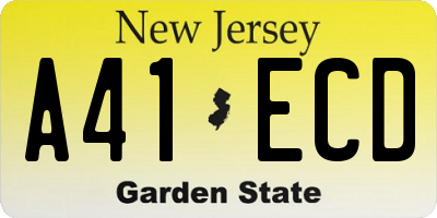 NJ license plate A41ECD