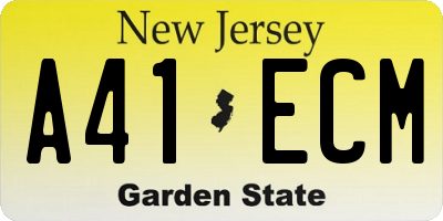 NJ license plate A41ECM