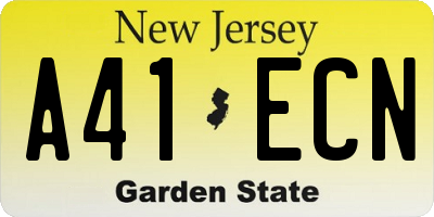 NJ license plate A41ECN
