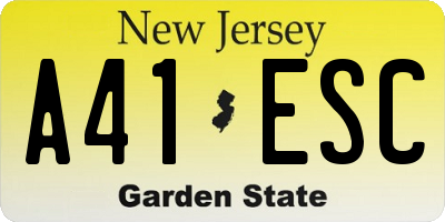 NJ license plate A41ESC