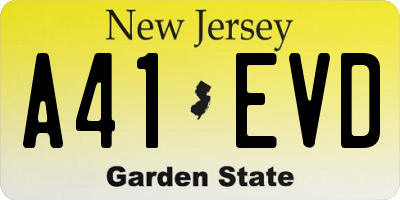 NJ license plate A41EVD