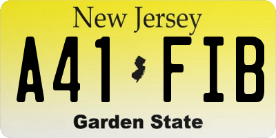 NJ license plate A41FIB