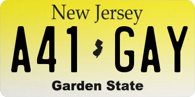 NJ license plate A41GAY