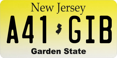 NJ license plate A41GIB