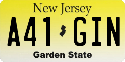 NJ license plate A41GIN