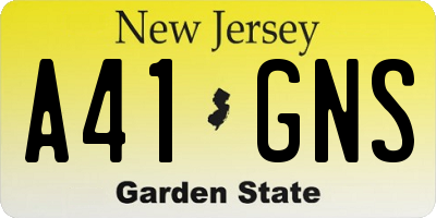 NJ license plate A41GNS