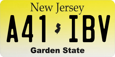 NJ license plate A41IBV