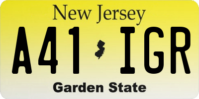 NJ license plate A41IGR