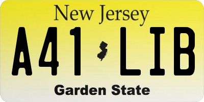 NJ license plate A41LIB
