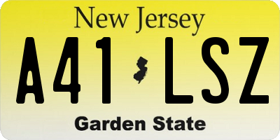 NJ license plate A41LSZ