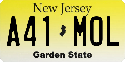 NJ license plate A41MOL