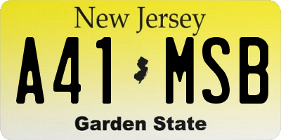 NJ license plate A41MSB