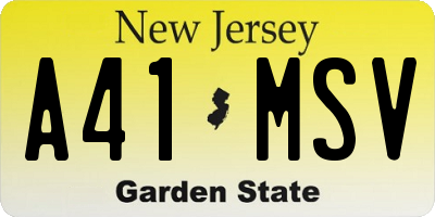 NJ license plate A41MSV