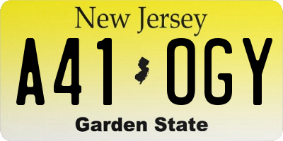 NJ license plate A41OGY