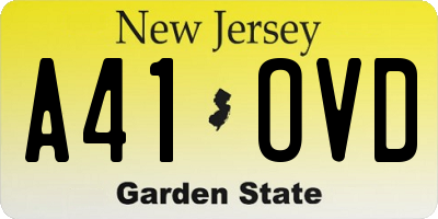 NJ license plate A41OVD