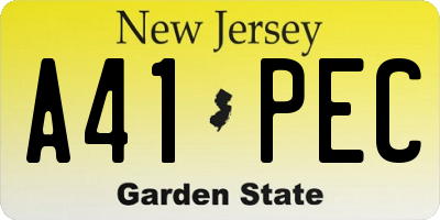 NJ license plate A41PEC