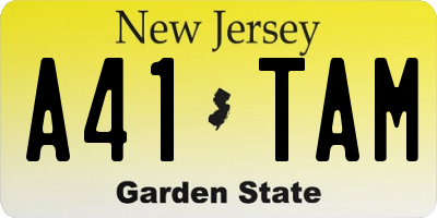 NJ license plate A41TAM