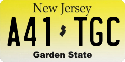 NJ license plate A41TGC