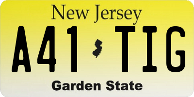 NJ license plate A41TIG