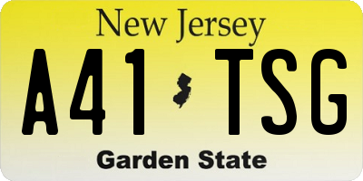 NJ license plate A41TSG